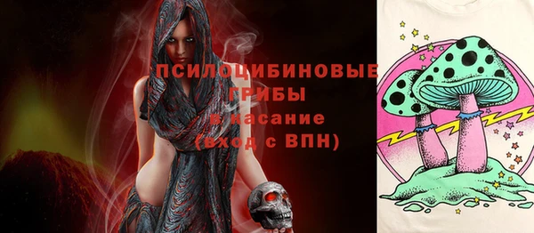 стаф Снежинск